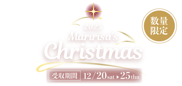 2025 Christmas Cake